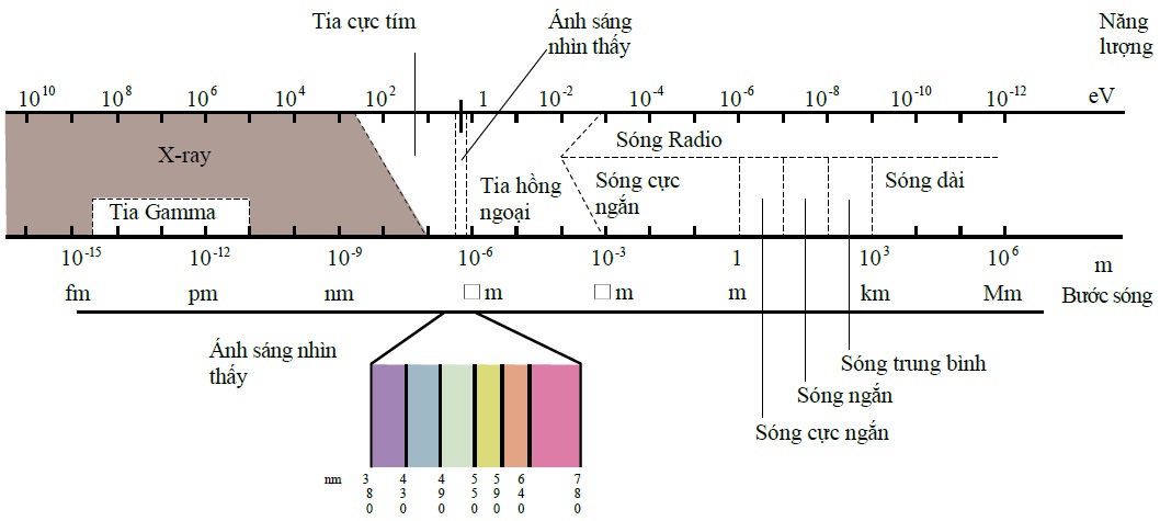 Cac-loai-song-dien-tu.jpg